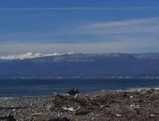 Присмотр за домом