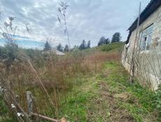 Гагра сабинар