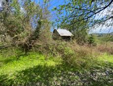 Сухум турбаза