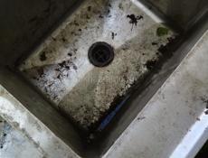 Срочно! Раковина, нержавеющей 