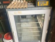 Продаю два инкубатора. Вместимость- 500 яиц каждый.