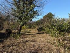 20 соток срочно 