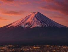 Ищу работу на лето 