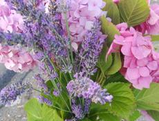 с. Алахадзе