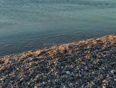 В кафе на берегу моря требуется повар универсал и официант