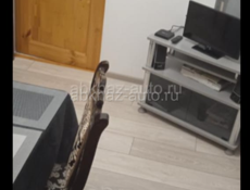 Сдам весь этаж на две семьи на круглый год в 15 минутах пешком от центрального рынка. . По 20000 р.