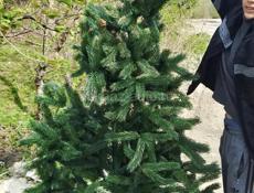 Искусственная ёлка 