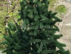 Искусственная ёлка