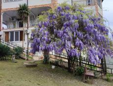 ГОСТИНИЦА С 2-ЭТАЖНЫМ ДОМОМ