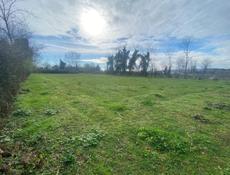 Гудаута золотой берег 