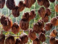 СУШЕННАЯ ХУРМА 