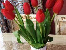 Сдаëтся комната не дорога, всë по телефону... 960-85-58