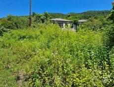 Дом с участком