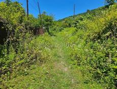 Дом с участком