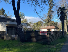 Коттеджи центр города пиц 