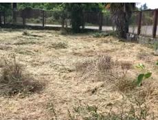 Арт-проект с витражным куполом