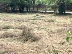 Арт-проект с витражным куполом