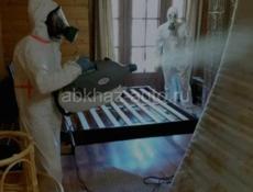 Уничтожение всех видов насекомых, грызунов