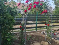 СРОЧНО!!! Дом и земля у моря, 185м до моря