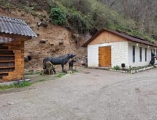 СДАЕТСЯ В АРЕНДУ ПОМЕЩЕНИЕ,СЫРОВАРНЯ!