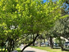 Сниму студию на долгий срок 