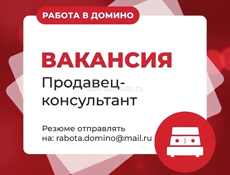 Продавец-консультант 