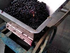 Вино и чача