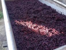 Вино и чача