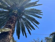 Требуется реализатор на летний сезон