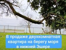 Нижняя Эшера, Молзавод 