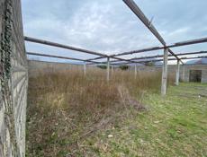 Сухум Ачадара