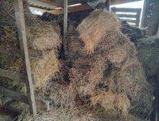 Продам 10 тюков