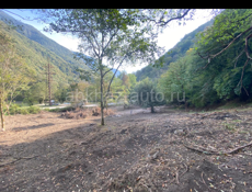 По дороге на Рицу