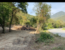 По дороге на Рицу 