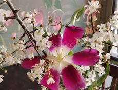 Срочно сниму квартиру. Хоть однокомнатную. На любой срок. Месяц два полгода. 