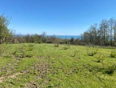 Гудаута приморск 