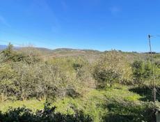 Срочная продажа !