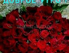 Торговый представитель