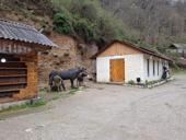 Сдам Аренду 