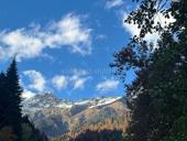 Куплю квартиру!