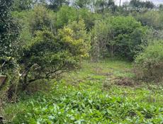 Дом с участком 