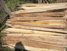 Колышки четкие связь 9961888