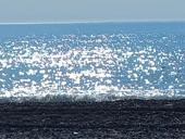 Присмотрим за вашим домам 