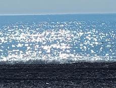 Присмотрим за вашим домам 