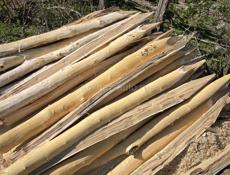 Колышки четкие связь 9961888