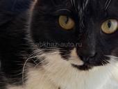 В любящую семью!