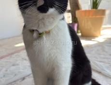 В любящую семью!