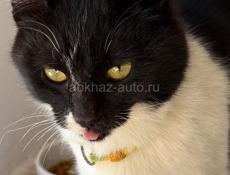 В любящую семью!