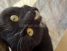 В любящую семью!