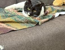 В любящую семью!